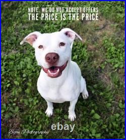 Glock 31Gen4 Complete OEM Upper Slide Assembly G31 22 31 34 35 Factory 17 Black