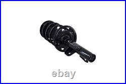 Premium OE Struts & Shocks for 2009 Lincoln MKS 3.7L Lifetime Warranty